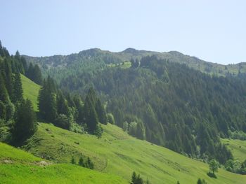 Achthütte - Salzburg - Österreich