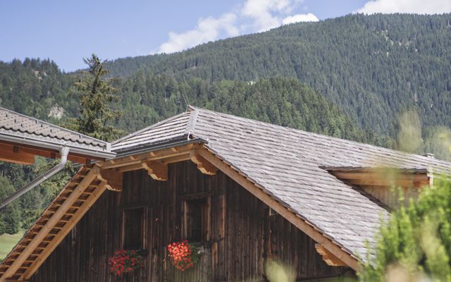 Familienhotel_Dolomit_Family_Resort_Alpenhof_Aussen.jpg