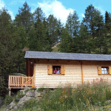 Sommer, Almwiesenhütte, Mörtschach, Kärnten, Kärnten, Österreich