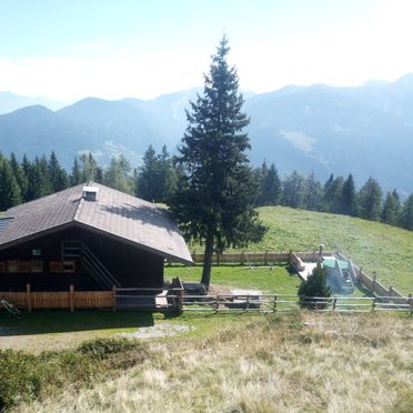 Summer, Birkhahn Hütte, Kleblach, Kärnten, Carinthia , Austria