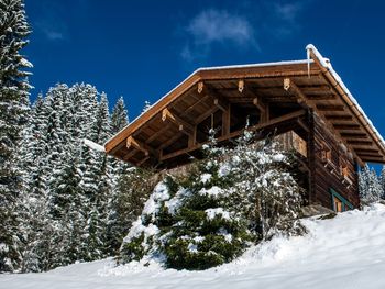 Chalet Alpenglück - Tirol - Österreich