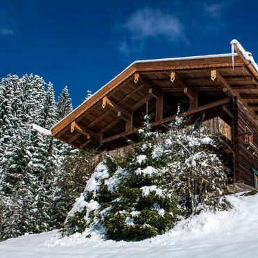Winter, Chalet Alpenglück, Kitzbühel, Tirol, Tirol, Österreich
