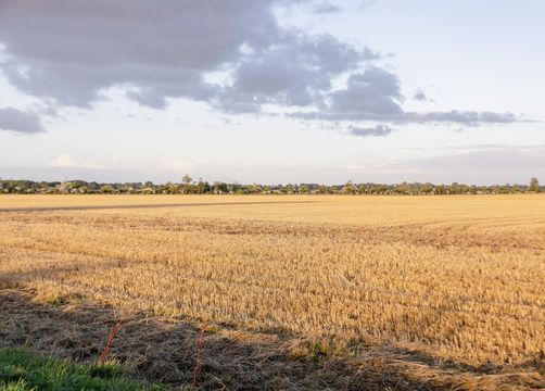 Biohotel Gut Nisdorf: Boddenküste - Gut Nisdorf , Nisdorf, Ostsee, Mecklenburg-Vorpommern, Deutschland