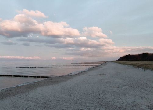 Baltic Sea beach at Zingst - Gut Nisdorf - Bio Urlaub an der Ostsee, Nisdorf, Ostsee, Mecklenburg-Western Pomerania, Germany
