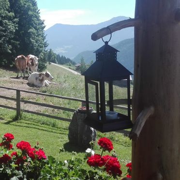 Aussicht, Neukam Hütte, Bischofshofen, Salzburg, Salzburg, Österreich