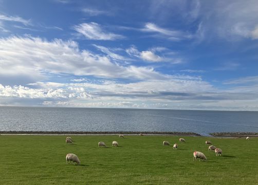 Yoga-Auszeit für Frauen - Haus am Watt