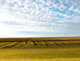 Top Angebot: Yoga & Nordsee entdecken für Frauen - Haus am Watt