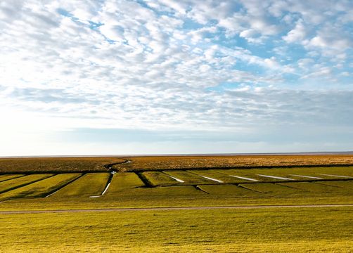 Biohotel Haus am Watt: Entdecken Sie die Landschaft - Haus am Watt, Heringsand, Nordsee, Schleswig-Holstein, Deutschland