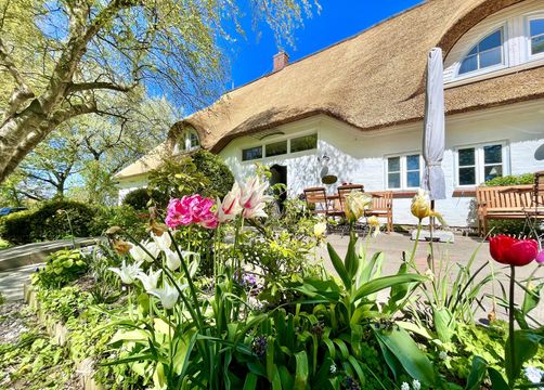 Terrace in spring - Haus am Watt, Heringsand, Nordsee, Schleswig-Holstein, Germany