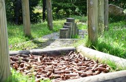 Pirker's Natur & Bio Familienhotel: Fallbach Barfusspfad - Pirker's Natur- & Bio Familienhotel, Malta, Katschberg Lieser-Maltatal, Kärnten, Österreich