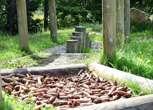 Pirker's Natur & Bio Familienhotel: Fallbach Barfusspfad - Pirker's Natur- & Bio Familienhotel, Malta, Katschberg Lieser-Maltatal, Kärnten, Österreich