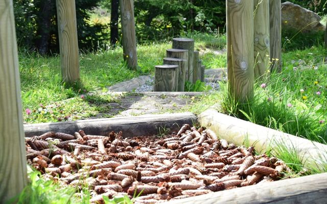 Spring.Package.Family image 1 - Pirker's Natur & Bio- Familienhotel