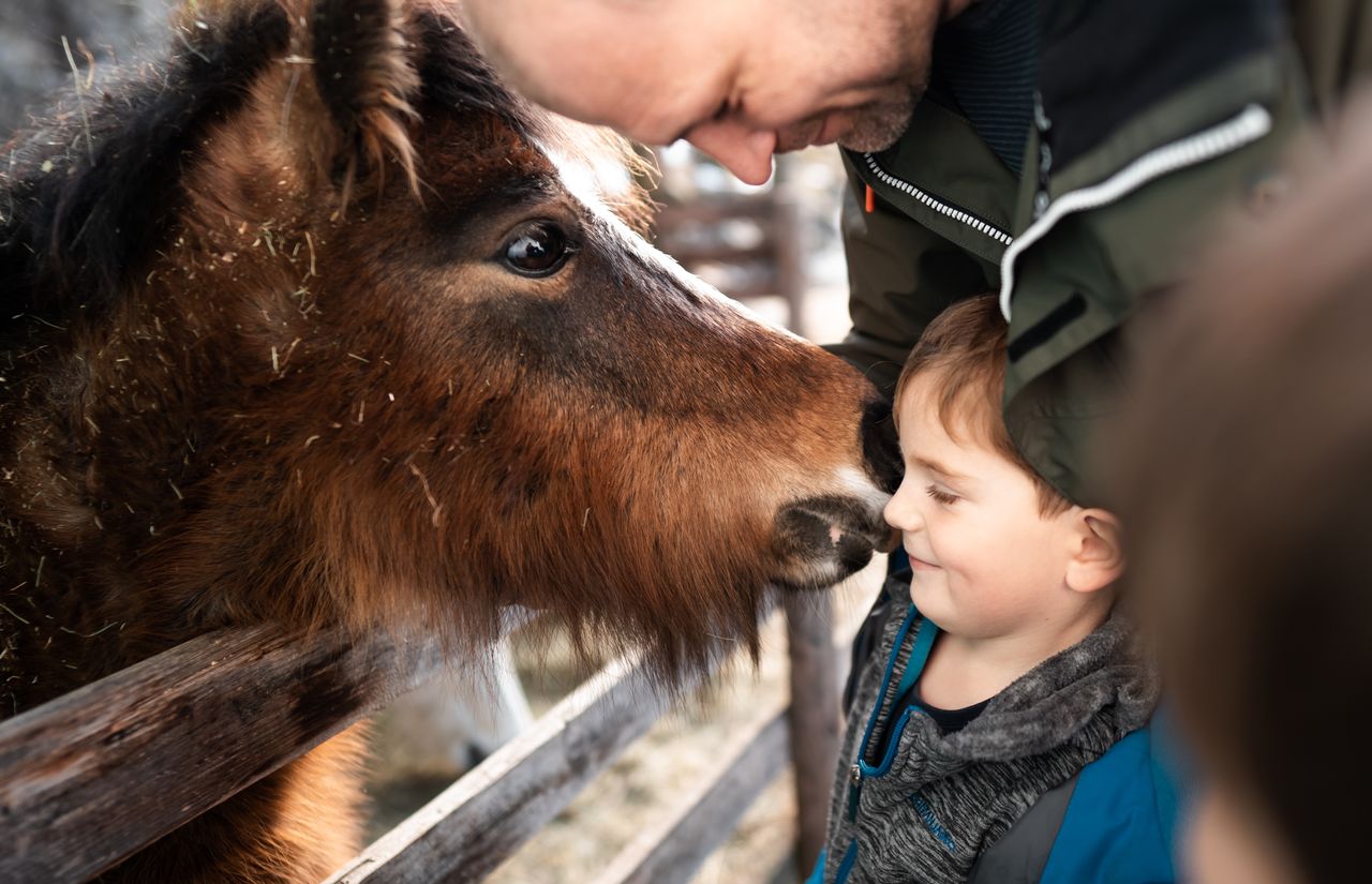 Pirker's Natur & Bio Familienhotel: Urlaub mit Tieren