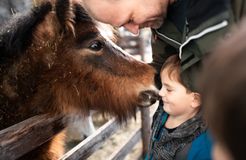 Pirker's Natur & Bio Familienhotel: Urlaub mit Tieren - Pirker's Natur- & Bio Familienhotel, Malta, Katschberg Lieser-Maltatal, Kärnten, Österreich