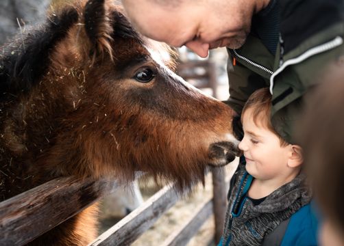 Pirker's Natur & Bio Familienhotel: Urlaub mit Tieren - Pirker's Natur- & Bio Familienhotel, Malta, Katschberg Lieser-Maltatal, Kärnten, Österreich