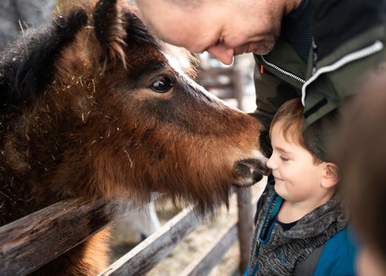 Familie - Pirker's Natur- & Bio Familienhotel