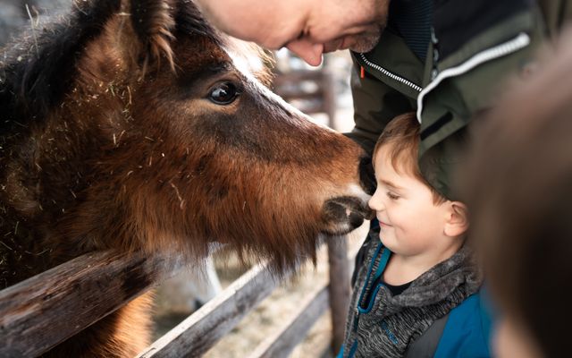 Pirker's Natur & Bio Familienhotel: Urlaub mit Tieren