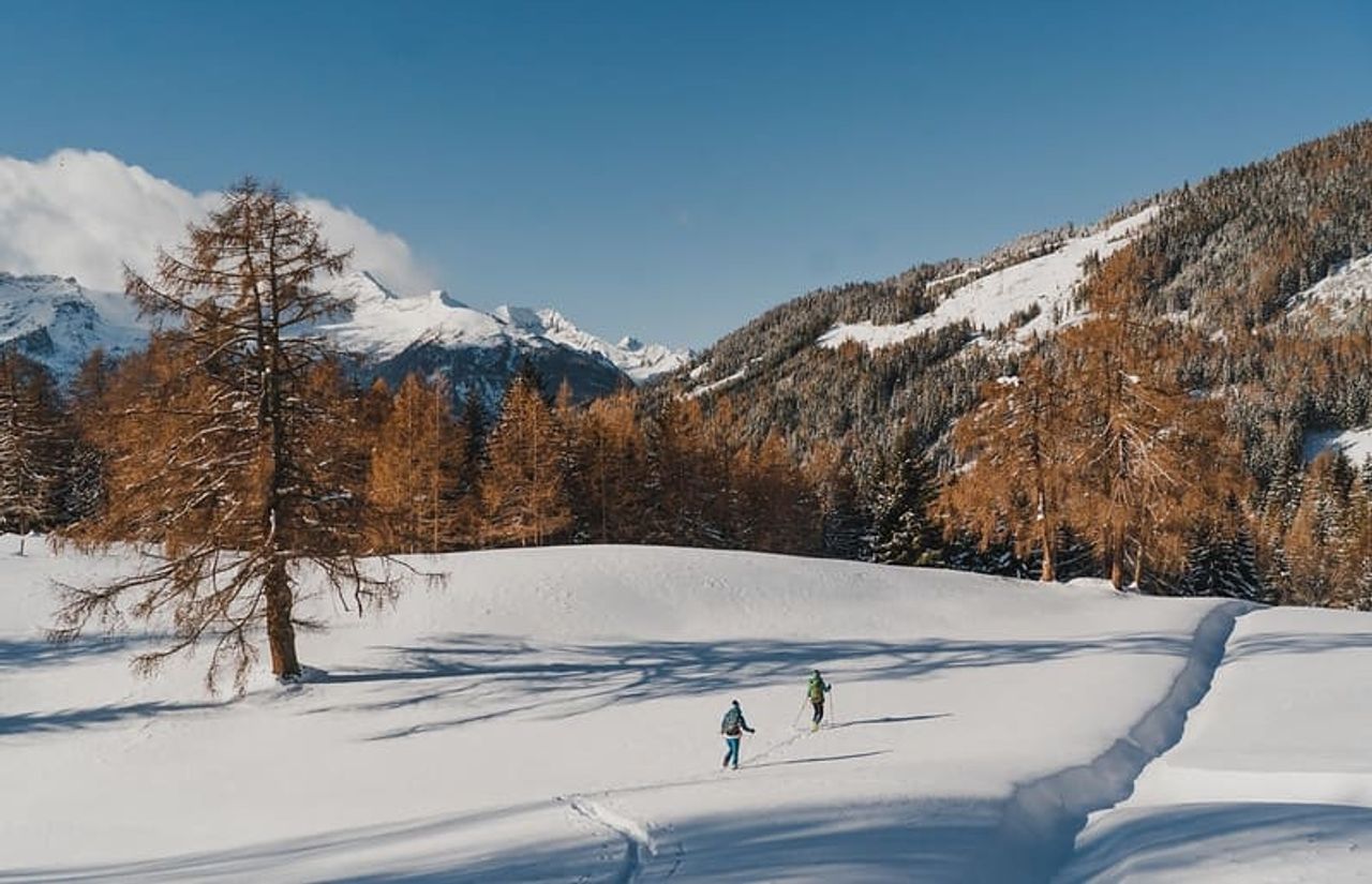 Pirker's Natur & Bio Familienhotel:  Winterwandern