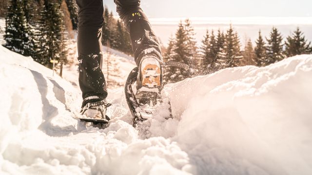 Gemeinsam ins Wintervergnügen