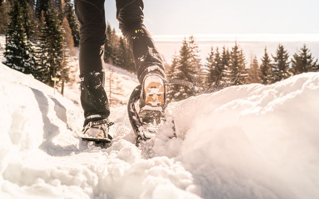 Pirker's Natur & Bio Familienhotel: Schneeschuhwandern