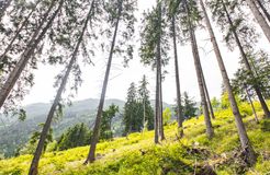 Pirker's Natur & Bio Familienhotel: Urlaub in der Natur - Pirker's Natur- & Bio Familienhotel, Malta, Katschberg Lieser-Maltatal, Kärnten, Österreich