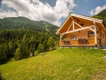 Hütte Höhenegg - Salzburg - Austria