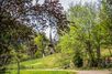 RÉVEIL DU PRINTEMPS