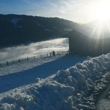 Winter, Rauchenbachalm, Bischofshofen, Salzburg, Salzburg, Österreich