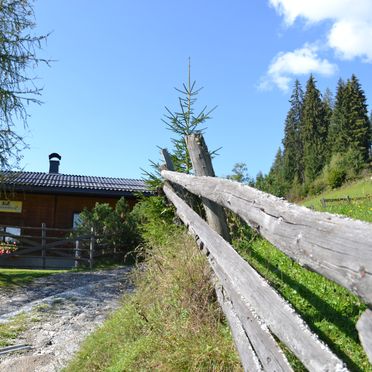 Sommer, Ferienhaus Kammerer, Bischofshofen, Salzburg, Salzburg, Österreich