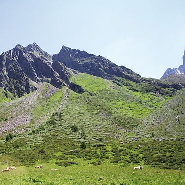 Surroundins, Glocknerklänge, Kals, Osttirol, Tyrol, Austria