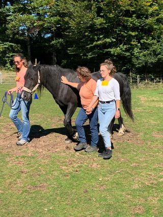Gruppenangebot für ein starkes Team