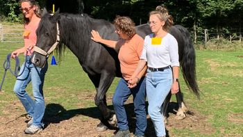 Gruppenangebot für ein starkes Team