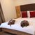 Appartement mit 1 Schlafzimmer – Nebengebäude