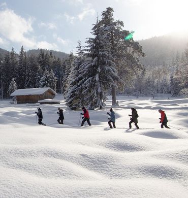 aanbod: WellnessWandelen - Der Brandstetterhof