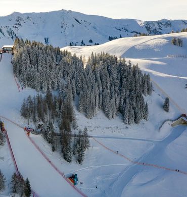 Offre:  Course VIP du Hahnenkamm - Der Brandstetterhof