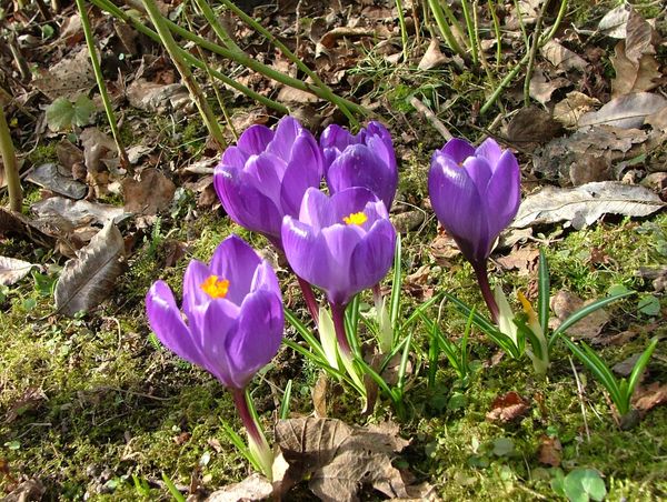 Easter Special 5 = 4