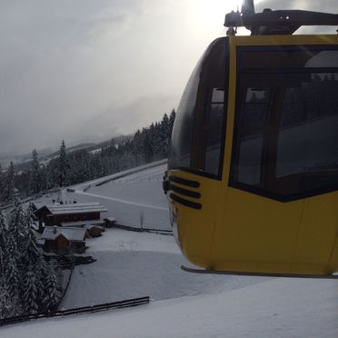 Winter, Oberprenner Troadkostn, Haus im Ennstal, Steiermark, Styria , Austria