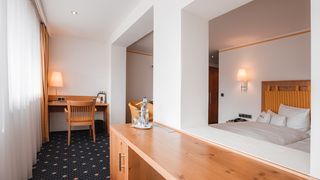 Heidelbeere (30 m²) Image #2