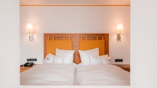 Heidelbeere (30 m²) Image #4