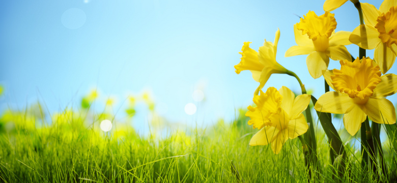 Schüle's Gesundheitsresort & Spa: Spring delights