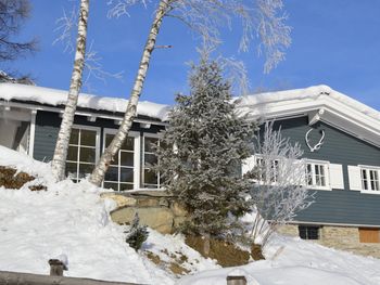 Chalet Schareck - Salzburg - Österreich