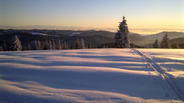 Weihnachten im Schwarzwald erleben