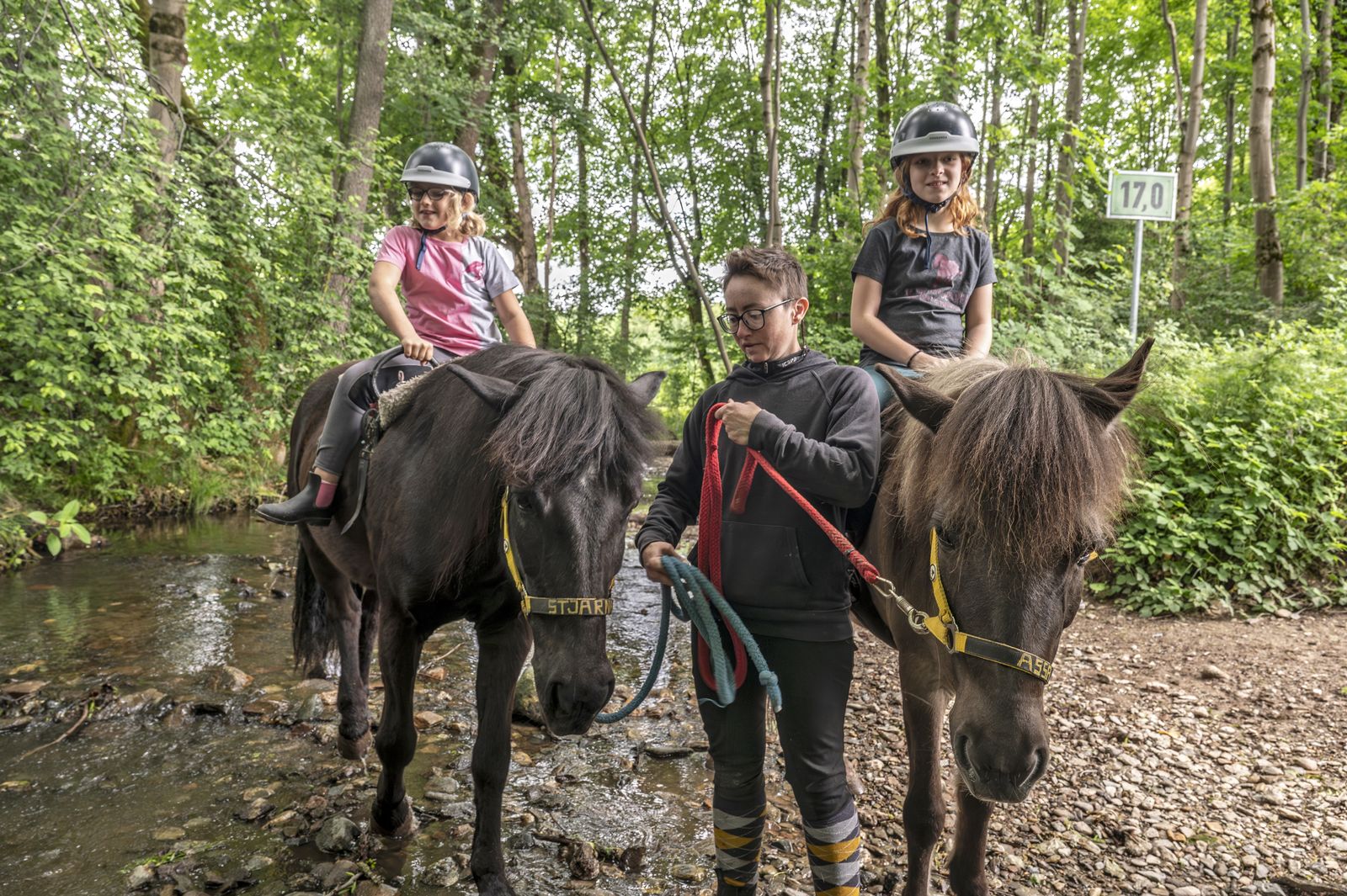 Reiterferien im Fichtelgebirge image 2 - Familotel Fichtelgebirge Mein Krug