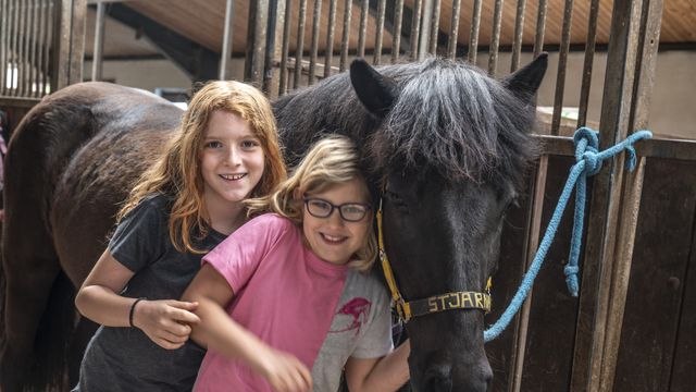 Reiterferien im Fichtelgebirge
