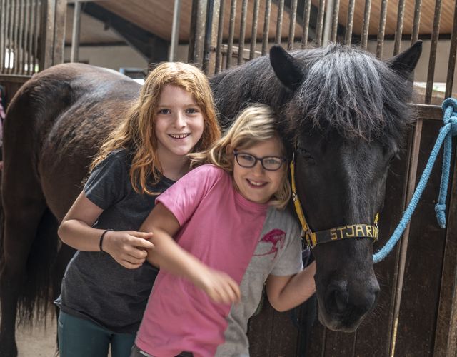 Angebot: Reiterferien im Fichtelgebirge - Mein Krug