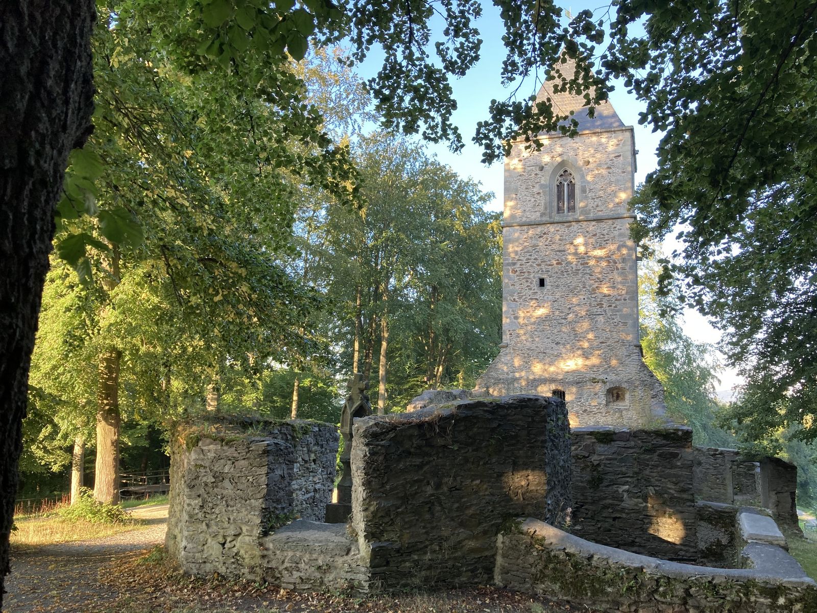 Greifvogel-Abenteuer in Bayern image 3 - Familotel Fichtelgebirge Mein Krug