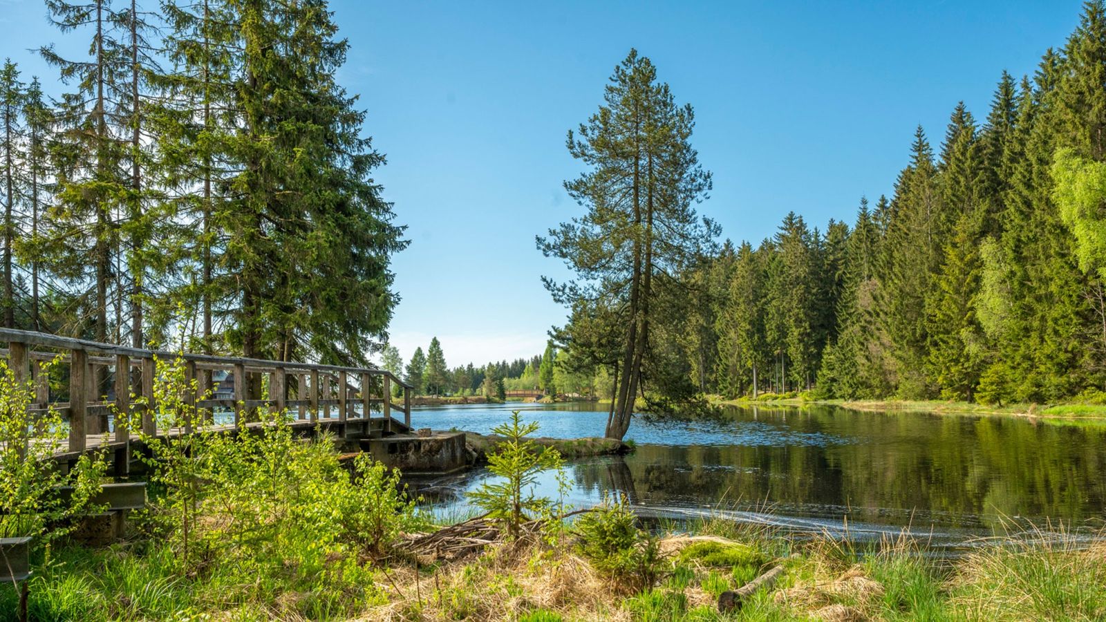 Wasserspaß für die ganze Familie image 5 - Familotel Fichtelgebirge Mein Krug