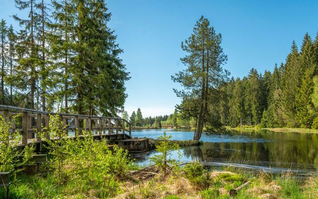 Wasserspaß für die ganze Familie image 1 - Familotel Fichtelgebirge Mein Krug