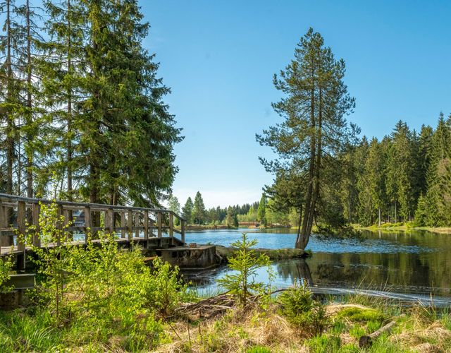 Angebot: Wasserspaß für die ganze Familie - Mein Krug