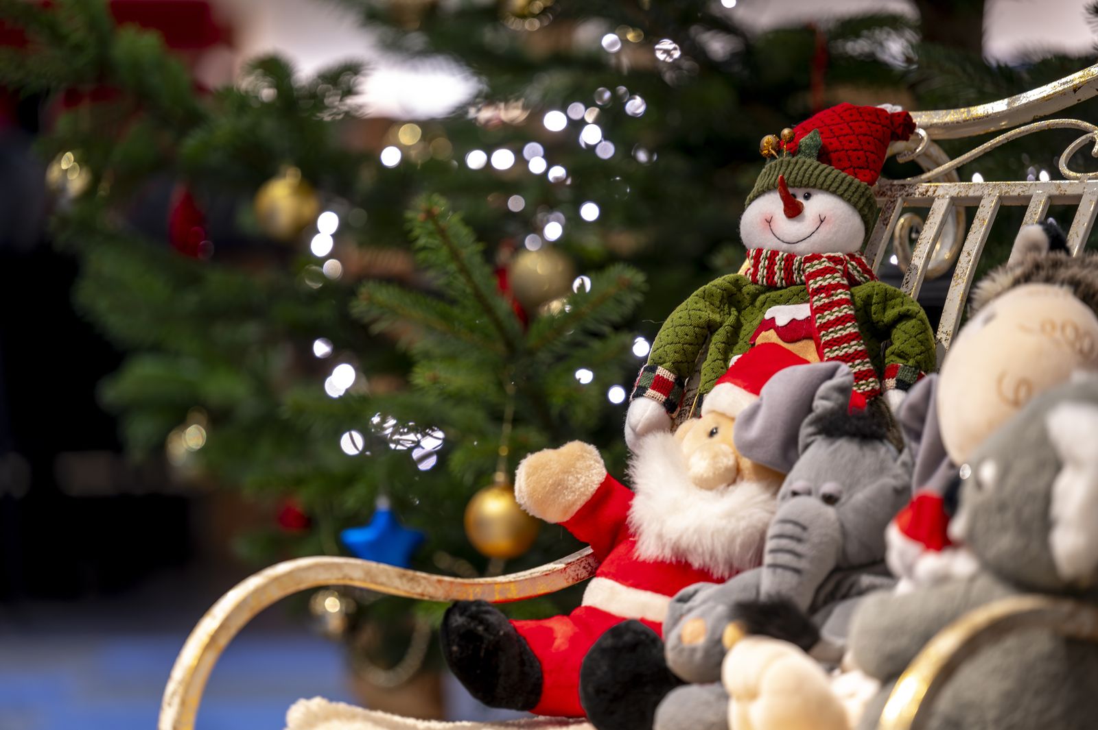 Märchenhafte Weihnachtstage image 4 - Familotel Fichtelgebirge Mein Krug